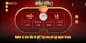Lưu ý quan trọng khi chơi xóc đĩa VWIN